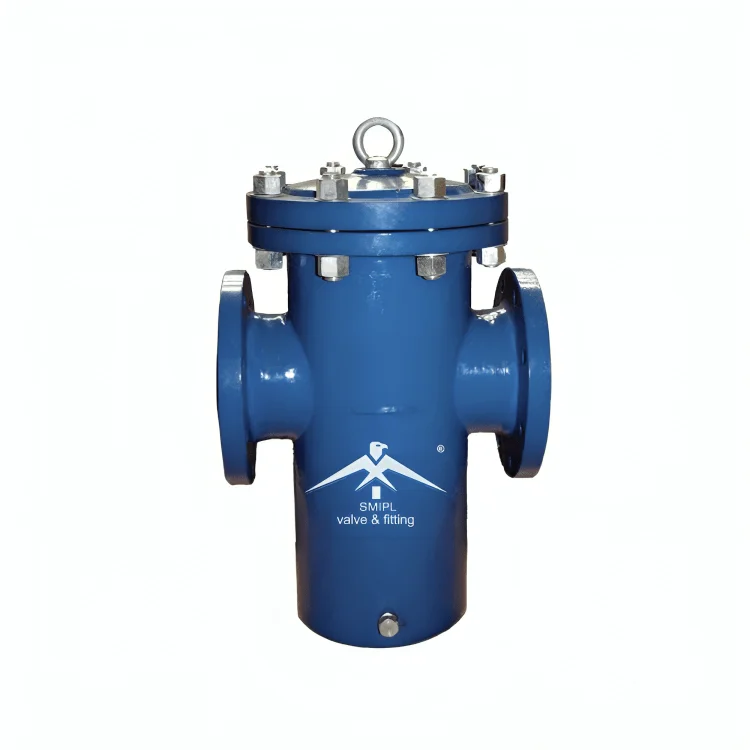 Basket Strainer Manufacturer in India - SMIPL